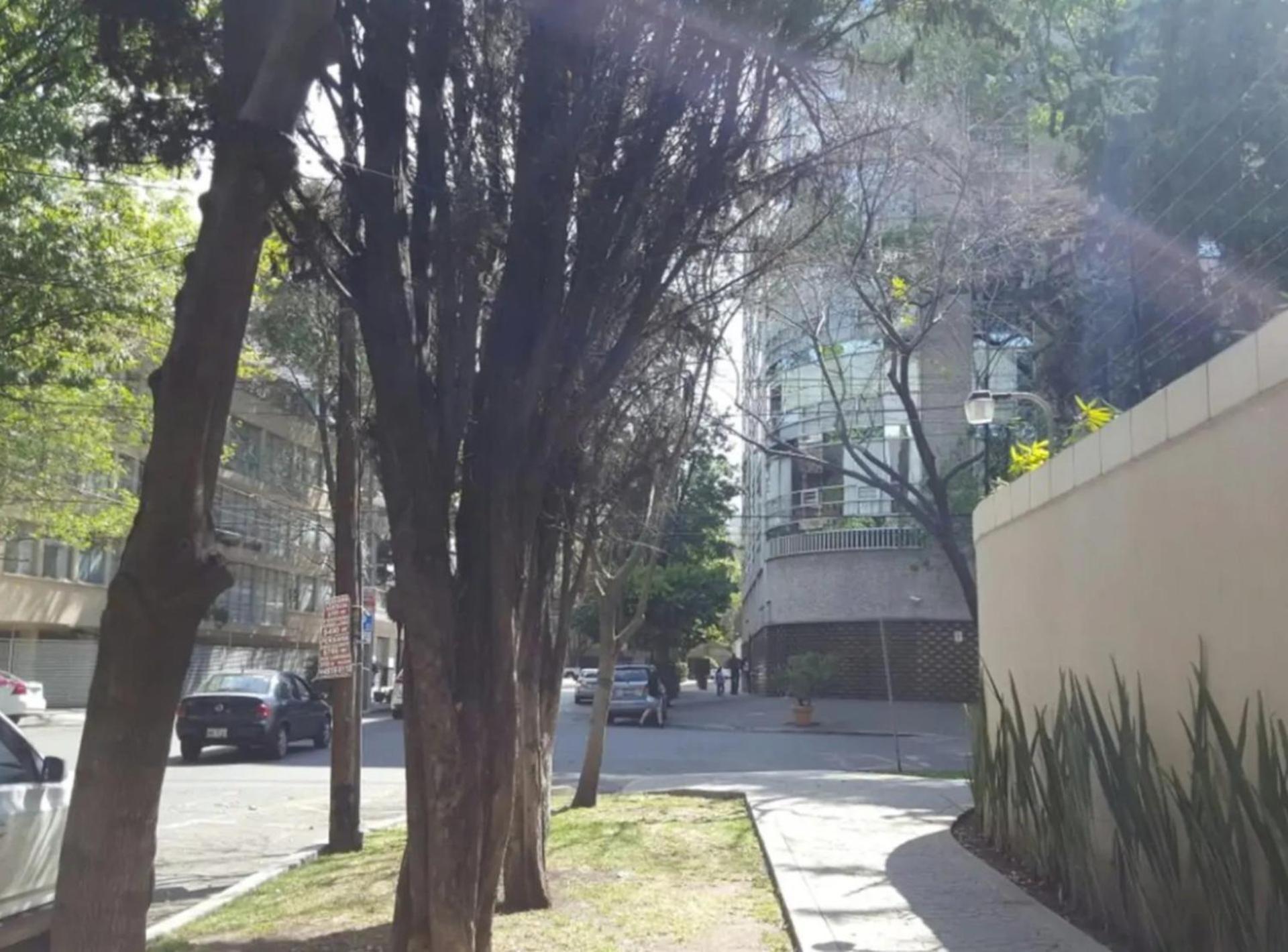 Mi Casa #1 At Polanco'S Most Exclusive Area Appartement Mexico-stad Buitenkant foto